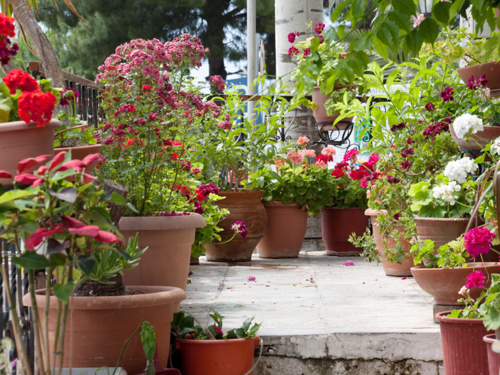 Come trasformare il balcone in un orto: i trucchi che funzionano veramente
